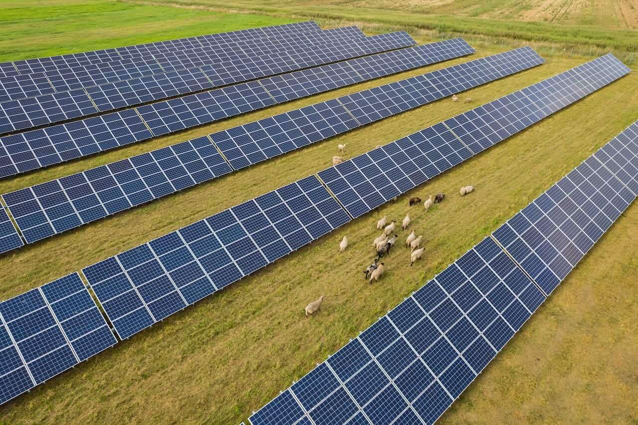 Agrivoltaïsme